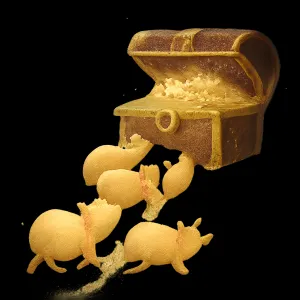 금돼지 5마리가 저를 안내하더니 큰아주큰 보물이있음 [꿈해몽]