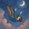 모르는사람이 떨어지는꿈 [꿈해몽]