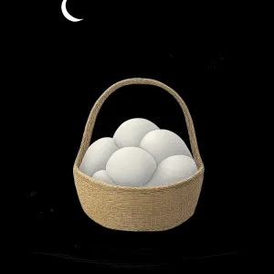 잔잔하고 투명한 바다에서 흰 조개를 바구니 가득잡고 있어요 [꿈해몽]