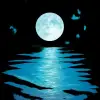 물속에 달이 비친 꿈 [꿈해몽]