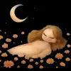 꽃밭에 누운 꿈 [꿈해몽]